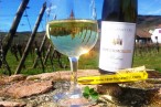 Cave Vinicole de Hunawihr