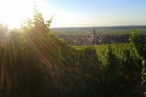 Domaine Geschickt