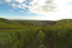 Domaine Geschickt