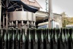Vins et crémants d'Alsace André Dolder