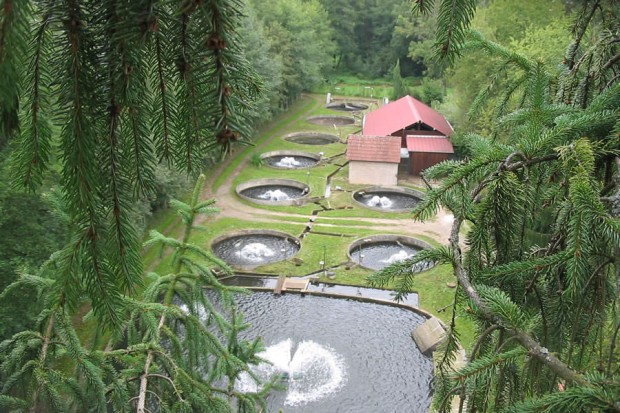 Aux Sources du Heimbach