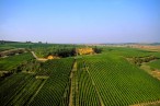 VinoRoute