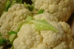 Le Potager de Camille