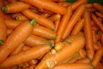 Le Potager de Camille