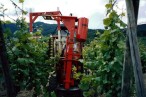 Domaine Robert Haag