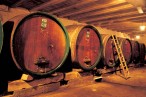 Domaine Dussourt