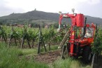 Domaine Dussourt