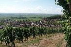 Cave Vinicole Les Faîtières