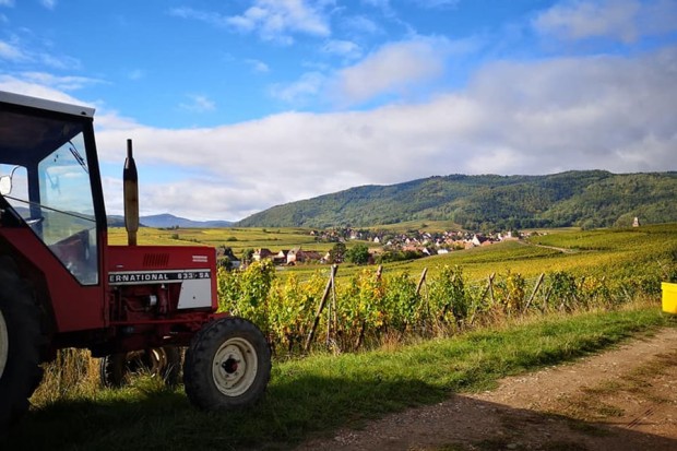 Domaine de la Tour Blanche