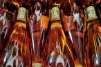 Domaine de la Tour Blanche